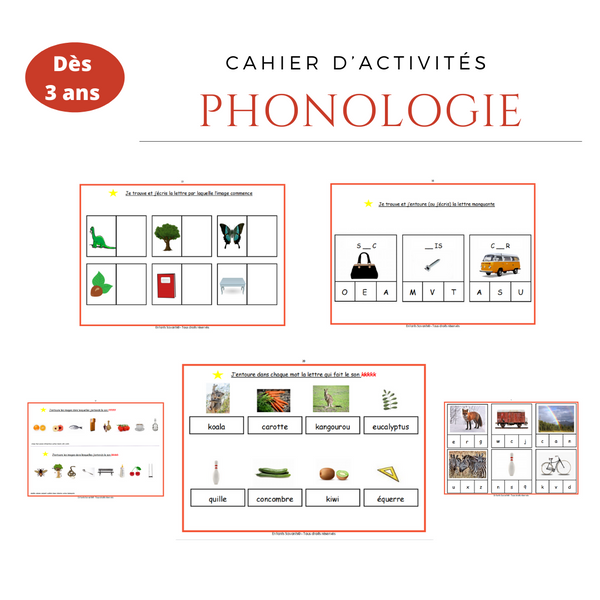 Phonologie - Les sons simples